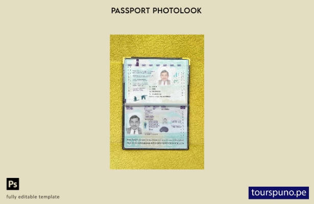 listo para imprimir pasaporte de Suecia nueva plantilla de aspecto fotográfico a